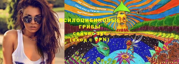 сатива Белокуриха