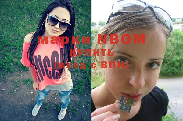 сатива Белокуриха
