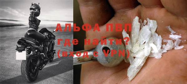 сатива Белокуриха