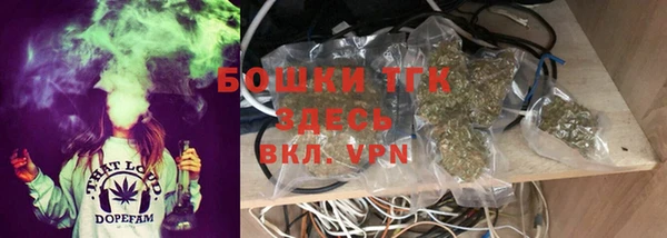 сатива Белокуриха