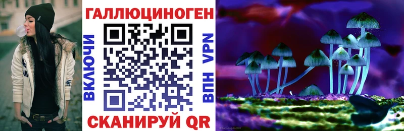 закладка  Плёс  Галлюциногенные грибы мухоморы 