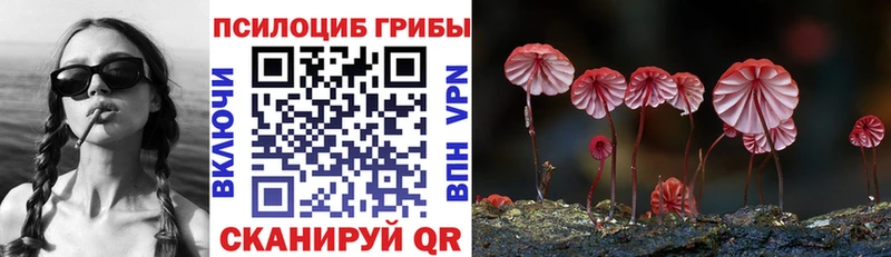 Псилоцибиновые грибы прущие грибы Плёс